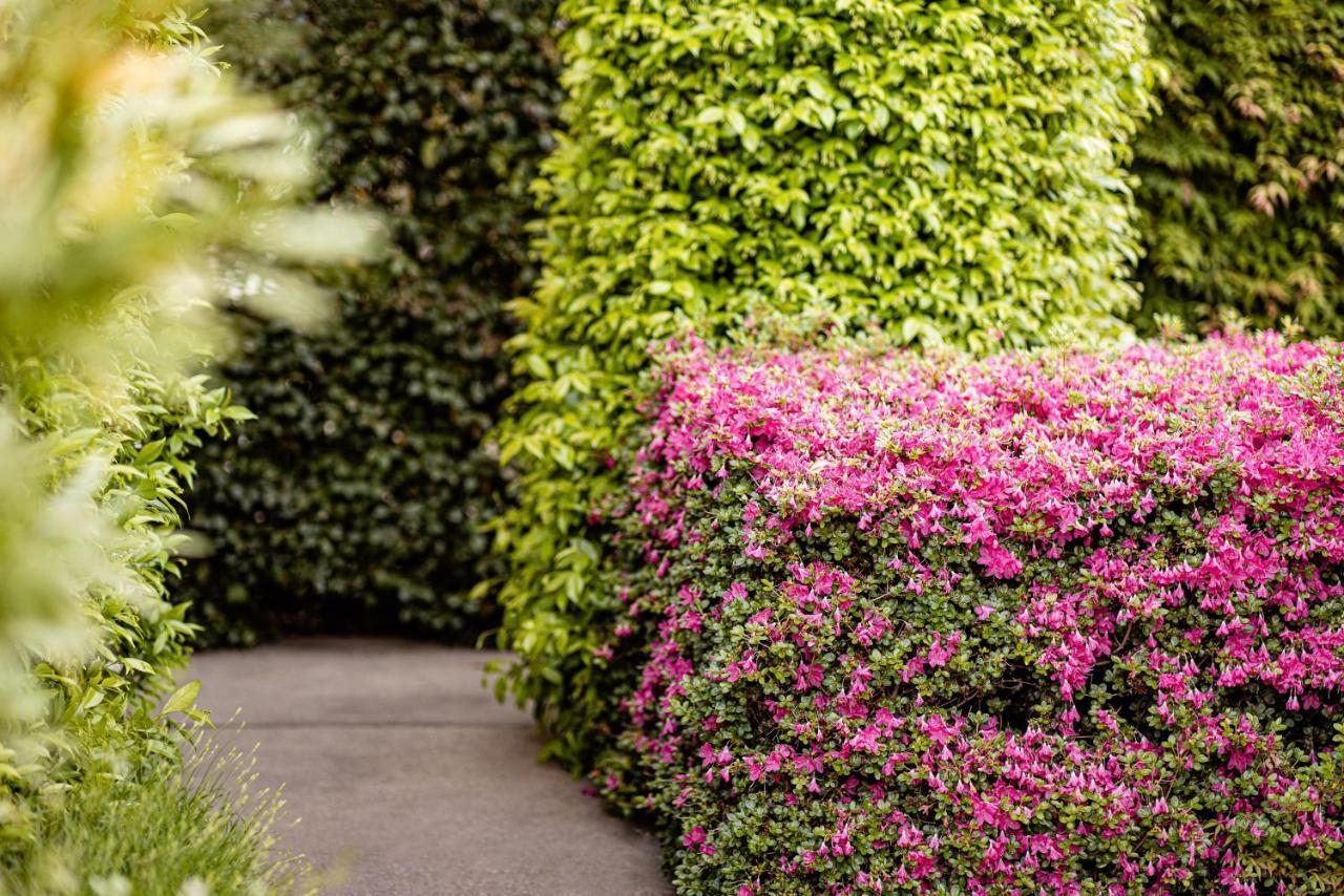 Garden Residence Lana Ngoại thất bức ảnh